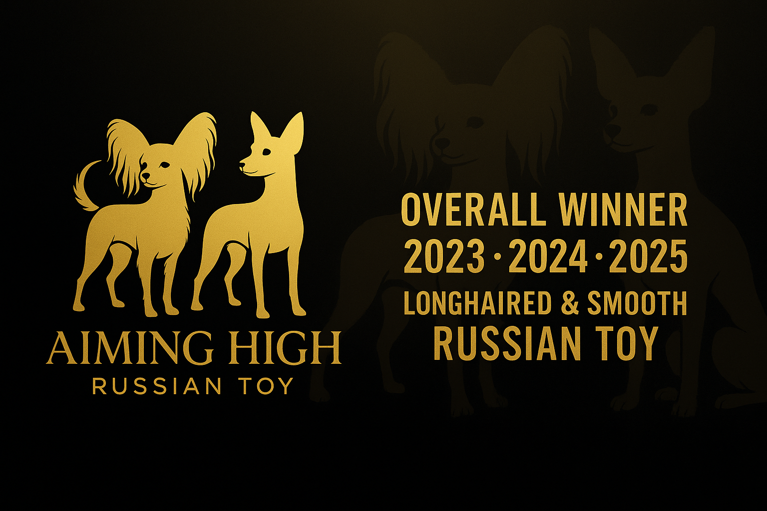 Aiming High Russian Toy